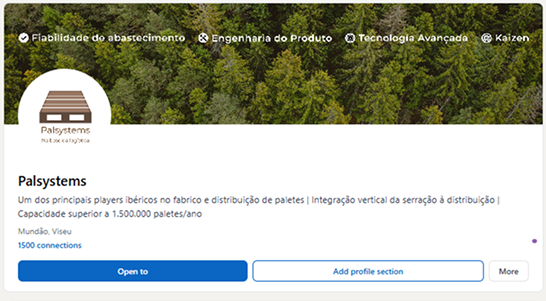 Perfil da Palsystems no LinkedIn