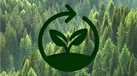 Certificação Florestal FSC e PEFC